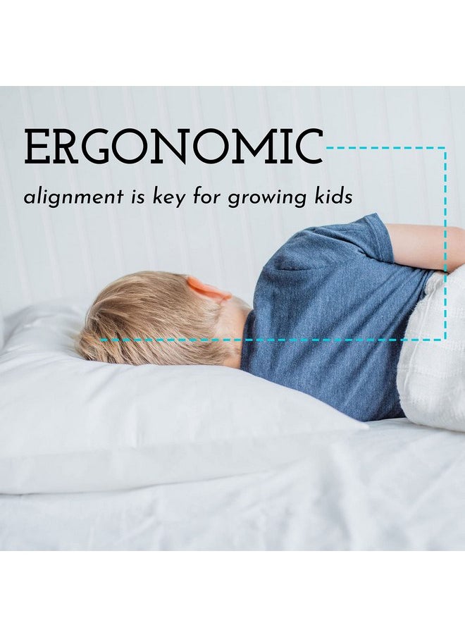 Little Sleepy Head - Little Sleepy Head Toddler Pillow with Pillowcase 13x18 - Kids Pillow for Sleeping - Toddler Pillow - Better Neck Support Ergonomic Pillow and Toddler Pillowcase - Best Pillows for Kids (White) - Image 1