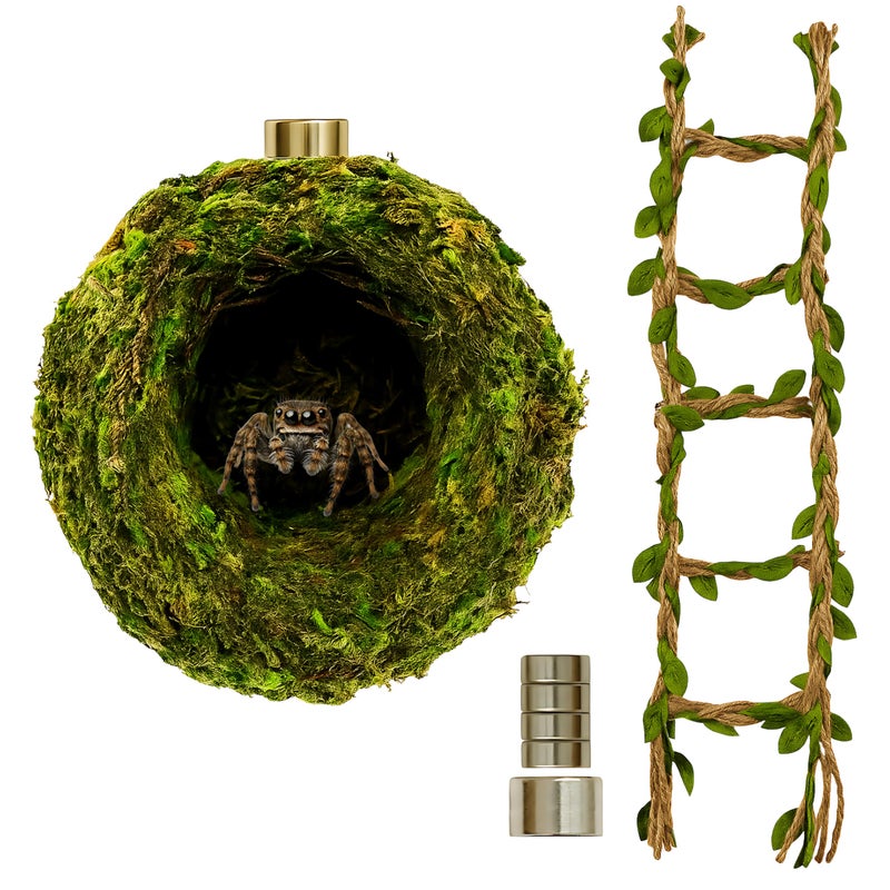 ZREVSB Jumping Spider Hideout Habitat Decor Handmade Moss Hideout Hemp Rope Bridge Fun Enclosure Accessories for Climbing Hiding - Image 2