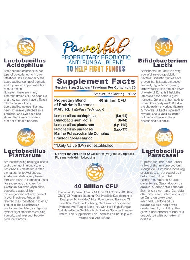 VIVANUTRA Restoration Toenail Fungus Treatment Probiotic Pills - Nail Fungus Treatment For Toenail, fungus Fungi Foot Repair Extra strength, Intensive Toe Nail renewal feet Fungus Supplement - Month Supply 60ct - Image 3