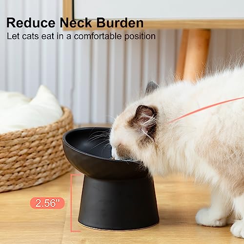YauYik Ceramic Raised Cat Bowls, Elevated Tilted Cat Food and Water Bowls Set, Stress Free Pet Feeding Dish for Indoor Cats and Small Dogs, Anti Vomiting, Black, 2 Pack - Image 3