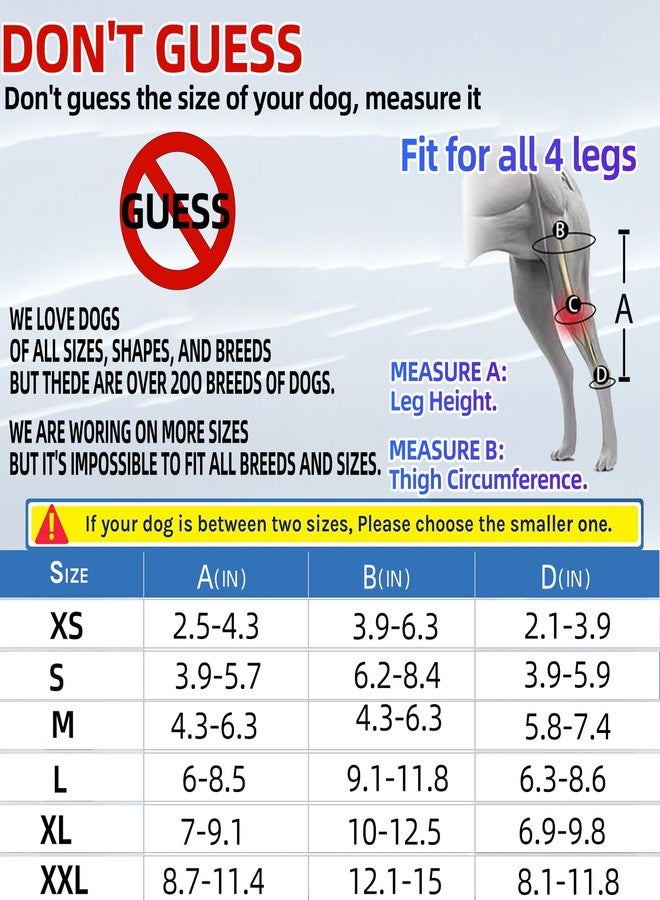 Tinzum M Dog Knee Brace for Torn Acl Hind Leg for Support with Cruciate Ligament Injury, Better Recovery with Dog Leg Braces for Back Leg - Image 3
