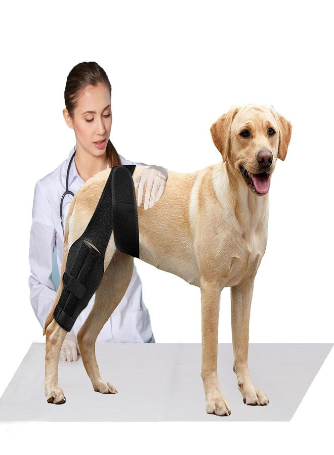 Tinzum M Dog Knee Brace for Torn Acl Hind Leg for Support with Cruciate Ligament Injury, Better Recovery with Dog Leg Braces for Back Leg - Image 1
