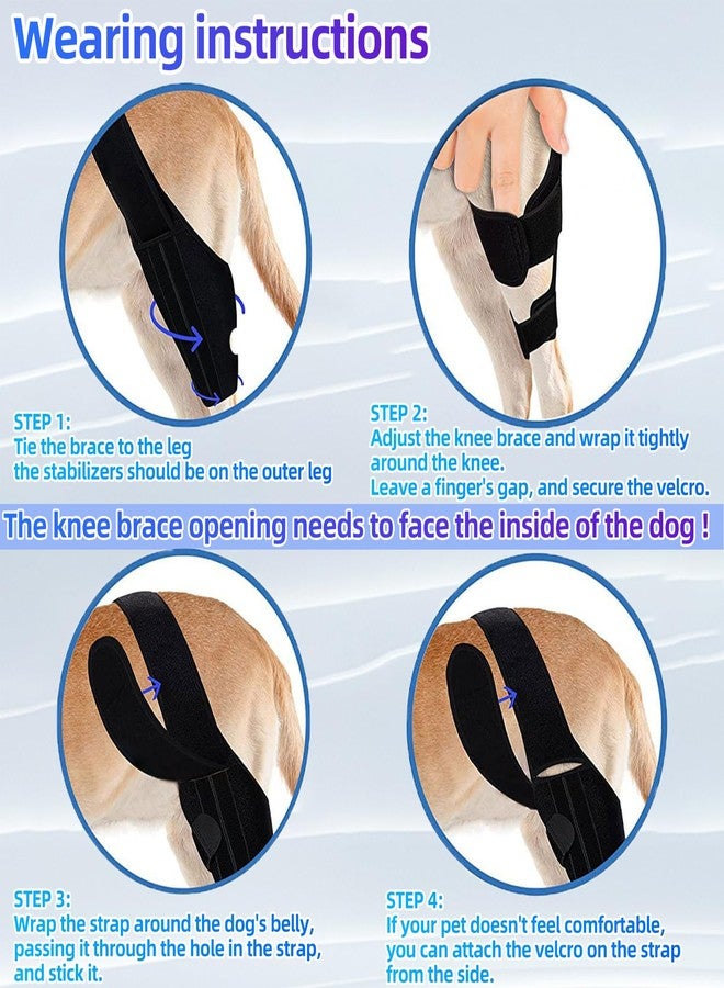 Tinzum M Dog Knee Brace for Torn Acl Hind Leg for Support with Cruciate Ligament Injury, Better Recovery with Dog Leg Braces for Back Leg - Image 4
