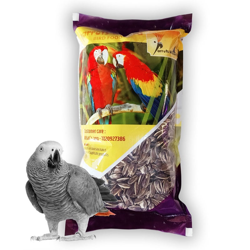 Parrots Wizard Adult Dry Bird Food Imported Large Size Sunflower Seeds For Gray Parrot;Indian Parrot; Macaw;Cockatoo And Exotic Birds (450G), 1 Count - Image 3