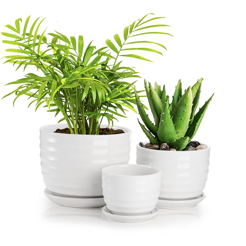 أواني زراعة فاسموف الخزفية 385265 بوصة 3 عبوات مع فتحة تصريف وصحن أواني زهور عصرية مستديرة لأواني النباتات العصارية والصبار لجميع نباتات المنزل والزهور العصارية البيضاء