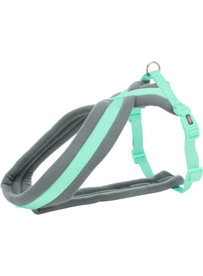 تريكسي حزام سياحة ممتاز للكلاب مصنوع من حشوة من الصوف، قابل للتعديل وخفيف الوزن، حلقة قوية على شكل حرف D تحافظ على الحزام والمقود في مكانهما، مقاس S: 35-65 سم/20 مم، نعناعي - Image 2