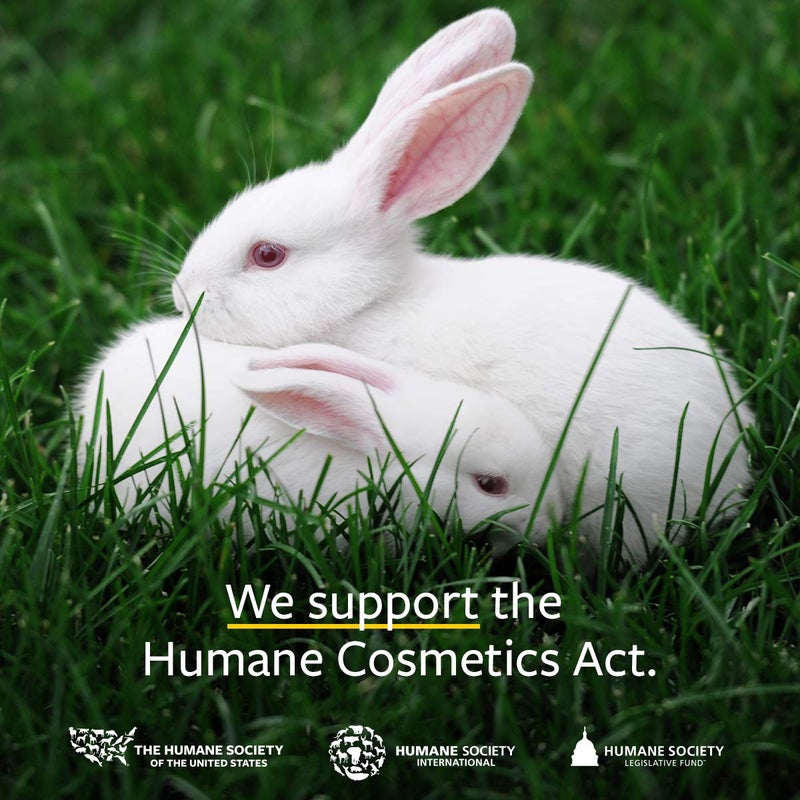 US Organic Mosquito Repellent Anti Bug Outdoor Pump Spray, 4 oz, Certified Organic, DEET-Free, Natural Insect Protection for Camping, Hiking, Travel - Image 4