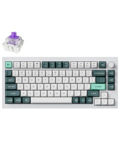 Keychron Q1 HE Swappable RGB Backlight Nebula Switch Knob Version Keyboard 