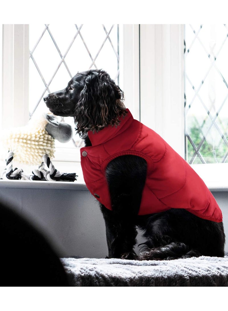 إسكدنيا Windproof Dog Winter Coat - Image 5