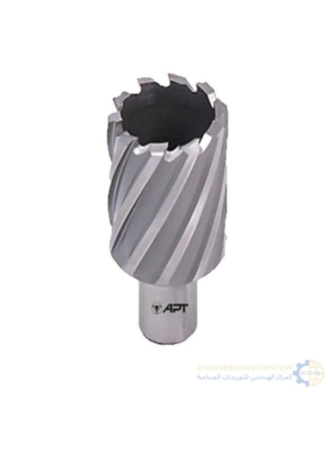 Apt Magnetic bit 34mm x 5.5cm APT HSS-XE 