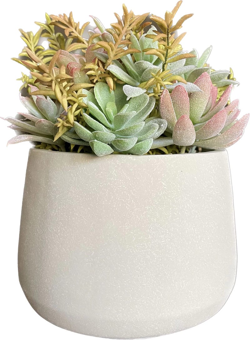 BIRCHCITY BIRCHCITY Artificial Succulents Plants Assorted Green Faux Succulents in Pots Succulents Plants Artificial Plant for Home Office Living Room Table Desk Plants Decor 9 inch 