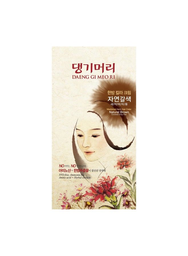 Daeng Gi Meo Ri Medicinal Herb Hair Color (No Ammonia & No PPD) (Natural Brown) - Image 1