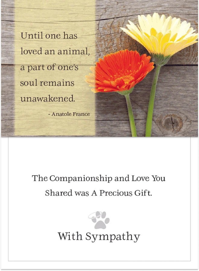 Dog Speak Pet Symphaty Card - Until One Has Loved An Animal - Pet Loss Condolence & Remembrance Card - Image 4