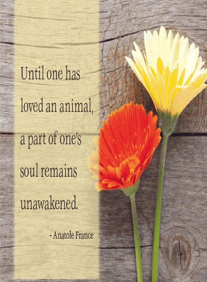 Dog Speak Pet Symphaty Card - Until One Has Loved An Animal - Pet Loss Condolence & Remembrance Card - Image 5