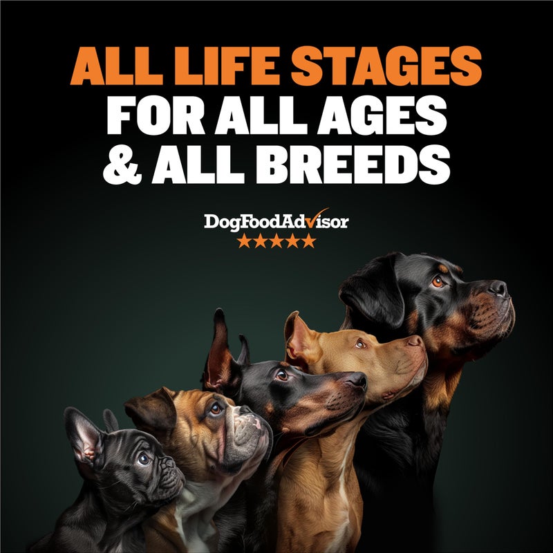 Bully Max Wet Dog Food for Adults and Puppies - Dehydrated High Protein Instant Fresh Soft Dog Food with Chicken - Healthy Muscle Growth for Small and Large Breed - 2 Dry Pounds (Makes 5.5 lbs.) - Image 3
