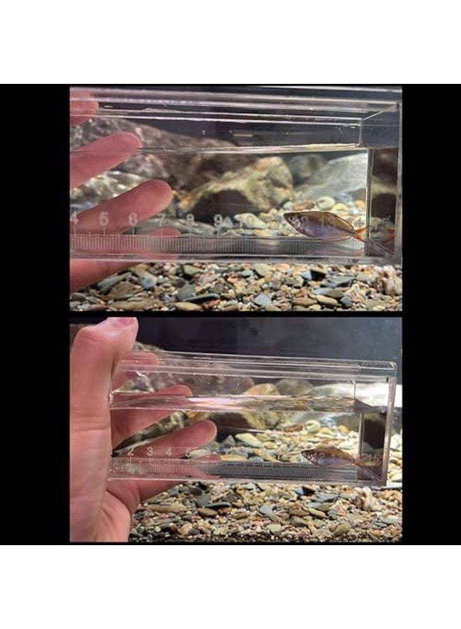 Large Acrylic Fish Viewing Box Multifunctional Breeding Case Aquarium Hatchery with Clear Scale - Image 3