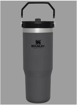 STANLEY IceFlow Flip Straw Water Bottle, 0.88L – Vacuum Insulated, Leakproof & BPA-Free – Keeps Water Cold for 12 Hours – Easy-Carry, Dishwasher Safe Stainless Steel Travel Mug (Charcoal) - pzsku/Z88D01075927BDA645A53Z/45/_/1738585572/0d2248c3-2ddc-41f6-ba8d-113d98ab7a9f
