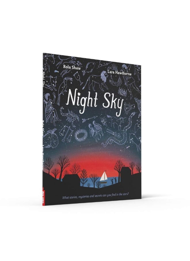 Night Sky: Be the next Brian Cox this Christmas and discover the extraordinary mysteries of the night sky in this captivating STEAM book! - pzsku/Z88D018D0F9C9C0D835ABZ/45/_/1739453235/18518ebf-5e77-406b-8513-998335192779