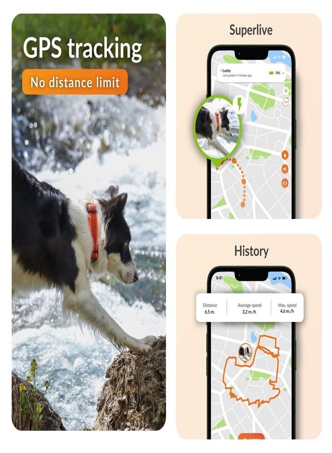 Weenect Dog XT - New GPS Collar for Dogs | XL Antenna | Waterproof | Ultra-Durable Integrated Julius-K9 Collar | Subscription Required - Image 3
