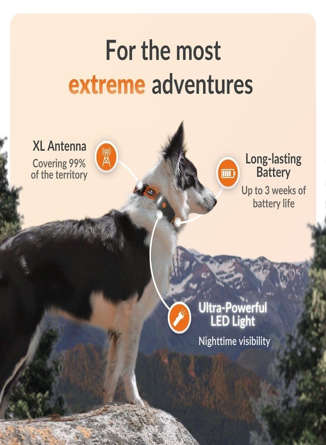 Weenect Dog XT - New GPS Collar for Dogs | XL Antenna | Waterproof | Ultra-Durable Integrated Julius-K9 Collar | Subscription Required - Image 2