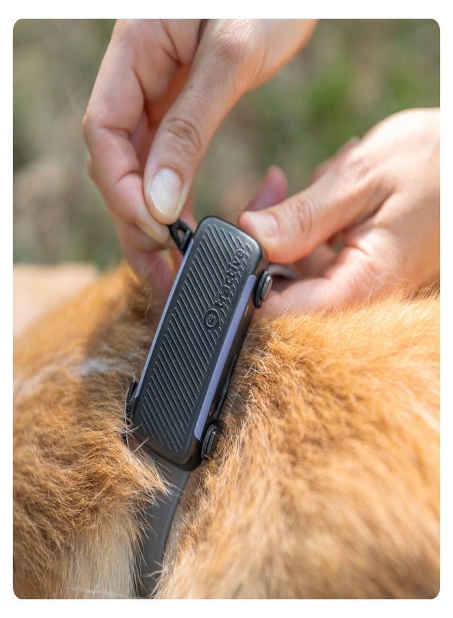 Tractive Fabric Clip Mount x2 for Tractive Dog 6 GPS Tracker (Black) - Large - Image 5