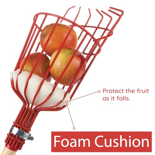 Home-X Fruit Picker Basket - Sturdy Tree Picker Tool with Adjustable Knob - Apple, Avocado, Peach, Pear, Lemon Grabber - Image 4