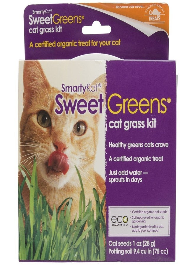 سمارتيكات مجموعة زراعة بذور عشب القطط سمارتي كات سويت جرينز - 1 أونصة - Image 1