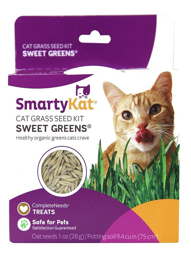 سمارتيكات مجموعة زراعة بذور عشب القطط سمارتي كات سويت جرينز - 1 أونصة - Image 4