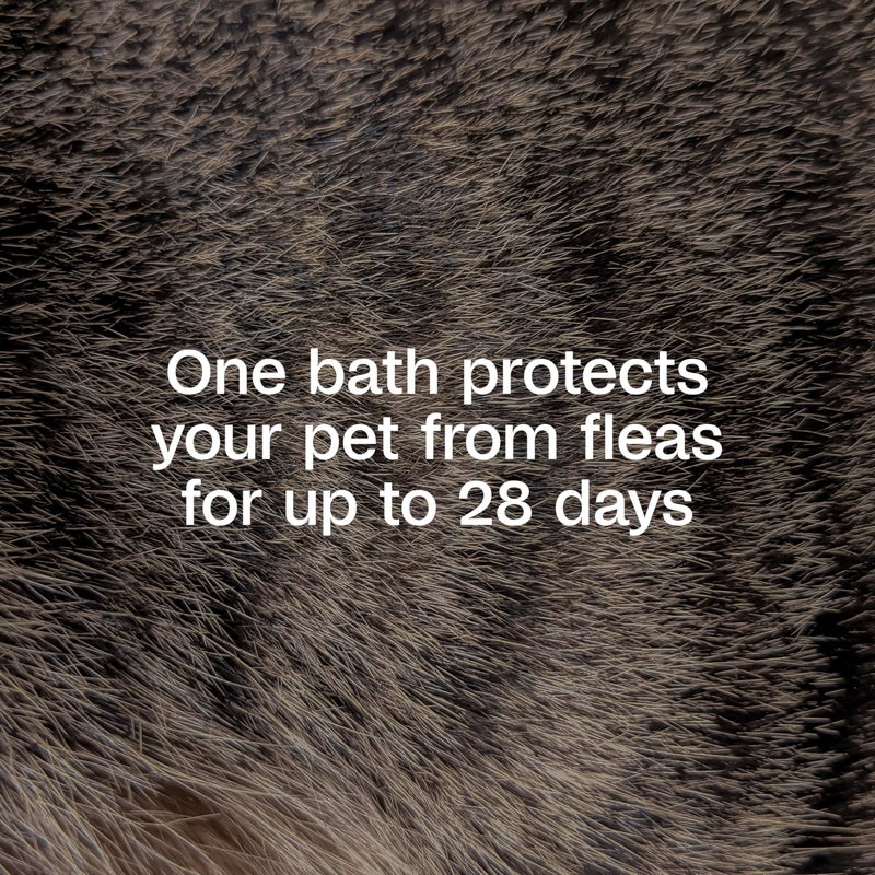 Adams Plus Flea & Tick Foaming Shampoo & Wash for Dogs & Puppies Over 12 Weeks | Sensitive Skin Flea Treatment for Dogs and Puppies | Kills Adult Fleas, Ticks, and Lice On Contact | 10 Oz - Image 3