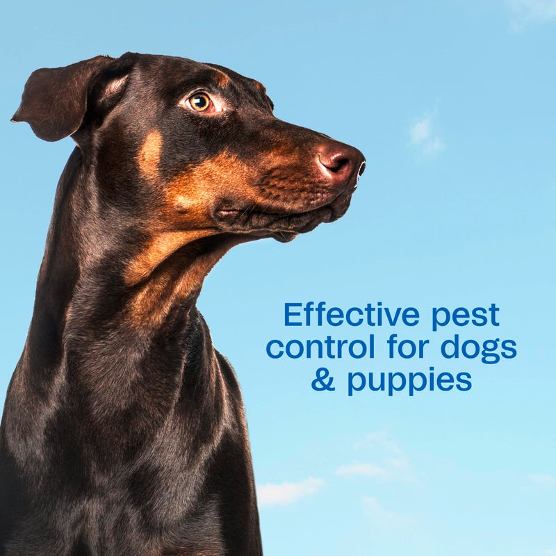 Adams Plus Flea & Tick Foaming Shampoo & Wash for Dogs & Puppies Over 12 Weeks | Sensitive Skin Flea Treatment for Dogs and Puppies | Kills Adult Fleas, Ticks, and Lice On Contact | 10 Oz - Image 4