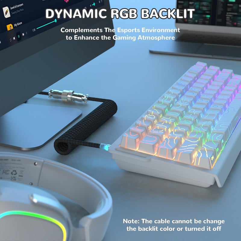 MAMBASNAKE Coiled USB C Cable for Gaming Keyboard with RGB Lighting, Nylon Braided With Detachable 4-Pin Metal Aviator, HyperSpeed Type C With 8KHz Return Rate, 4.92ft Length (C01 ULTIMATE/Black) - Image 2