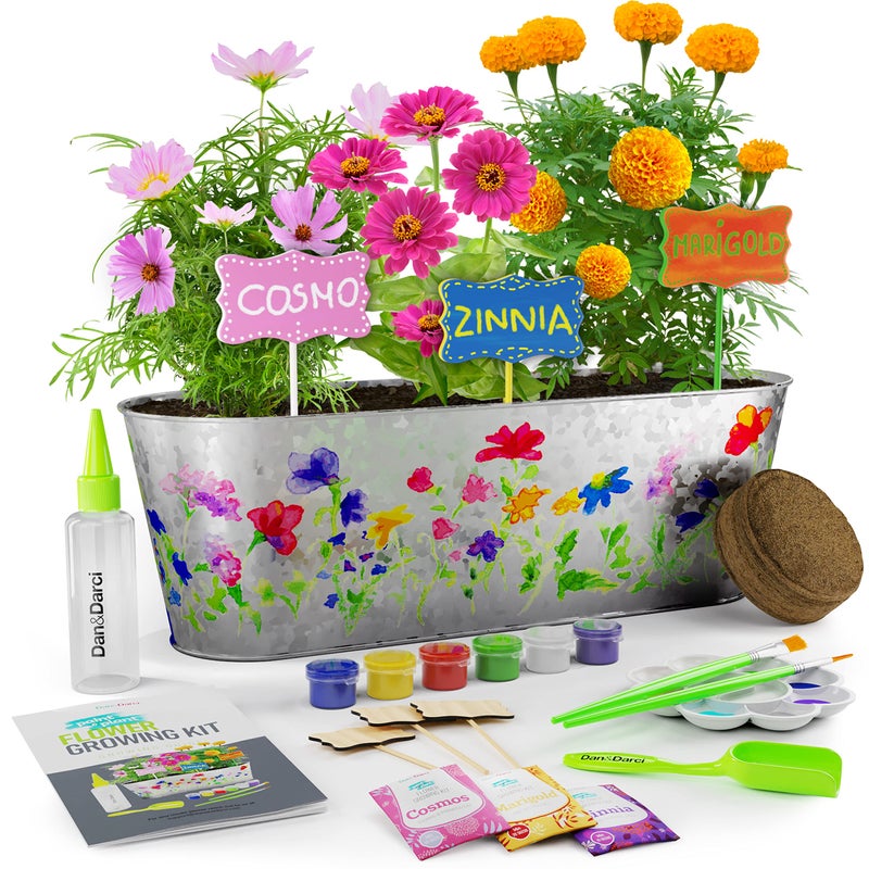 Dan&Darci Paint & Plant Flower Growing Kit for Kids - Gift Ideas Age 5 6 7 8-12 Year Old Girl - Birthday Crafts Gifts for Girls & Boys, Fun Children Gardening Kits, Art Projects for Ages 5-12 Years - Image 1