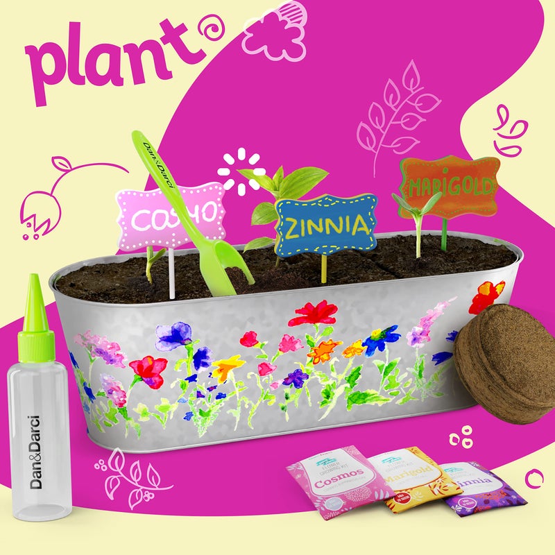 Dan&Darci Paint & Plant Flower Growing Kit for Kids - Gift Ideas Age 5 6 7 8-12 Year Old Girl - Birthday Crafts Gifts for Girls & Boys, Fun Children Gardening Kits, Art Projects for Ages 5-12 Years - Image 4