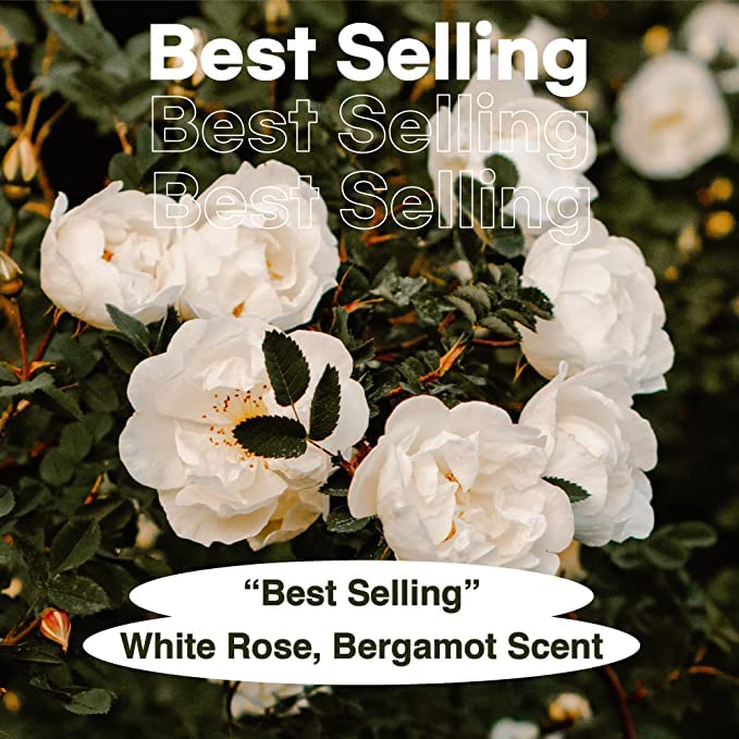 skybottle Body Wash Refreshing and Cleansing With AHA Deep Moisture for Dry Skin Perfumed with Bergamot White Rose Scent101 Fl Oz - Image 2