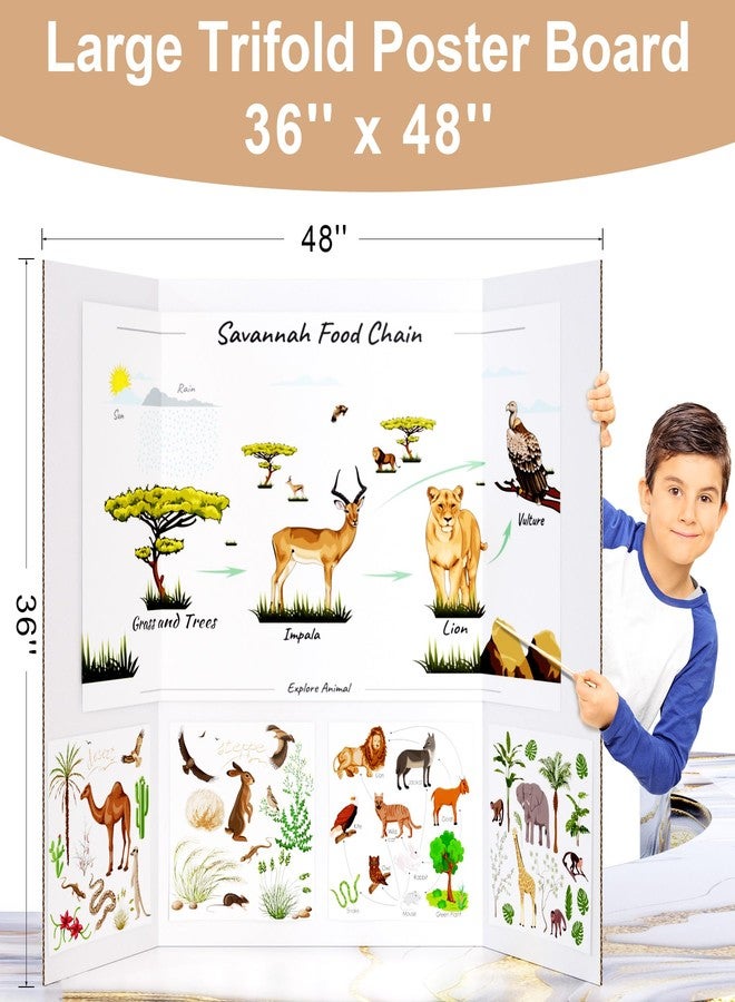 HAUTOCO 36'' x 48'' Trifold Poster Board 2 Pack Large Tri Fold Project Boards White Corrugated Presentation Cardboard for Science Fairs, School Projects, Event Displays, Business - Image 2