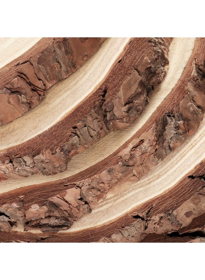 بينجيو PINGEUI 10 قطع من شرائح الخشب الطبيعي مقاس 7-8 بوصة، شرائح خشب طبيعي غير مكتملة مع لحاء الشجر، أقراص خشبية دائرية كبيرة الحجم من لحاء الشجر للحرف اليدوية - Image 4