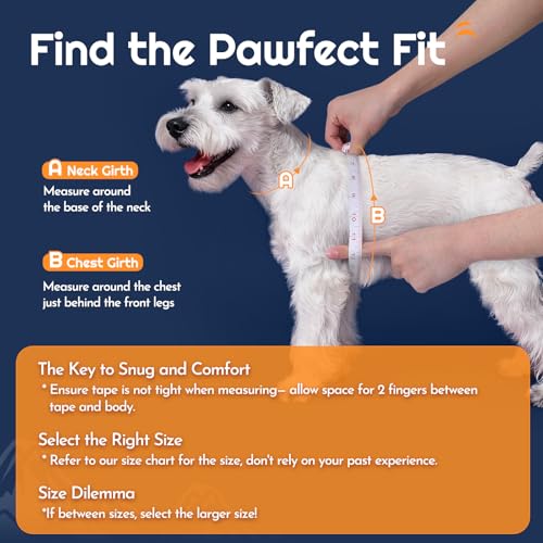 Eagloo Small Dog Harness and Leash Set, Step in Puppy Vest with Breathable Soft Mesh, Walking Reflective Pet Harness for Small Dogs, Navy Blue, S - Image 2