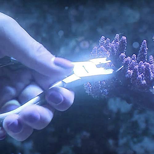 DR Instruments-MSB70 7" Heavy Duty Marino Coral Cutter - Image 5