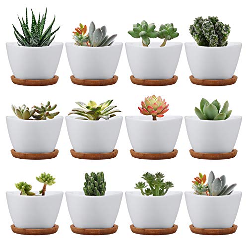 Succluent Pots Small Flower Pots Planter Pots with DrinageCeramic Flowers Pots with Bamboo Tray for Cactus12 Pack