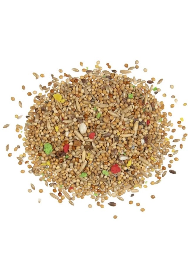 ويت مولين بادجي ريفي 2.5 كجم + 20% إضافي - Image 2