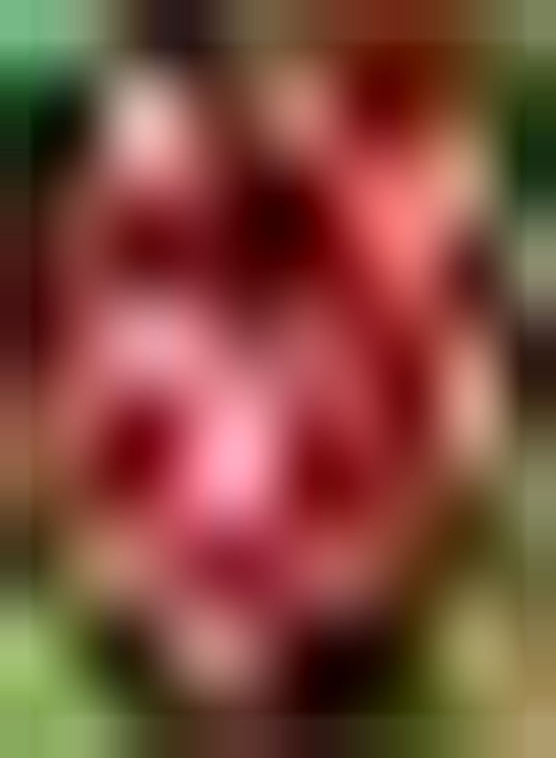 GGOOT 30pcs Red Geranium Seeds Perennial Flower Seeds Without Too Much Care for It Garden Material for Landscaping Landscape Design - Image 1