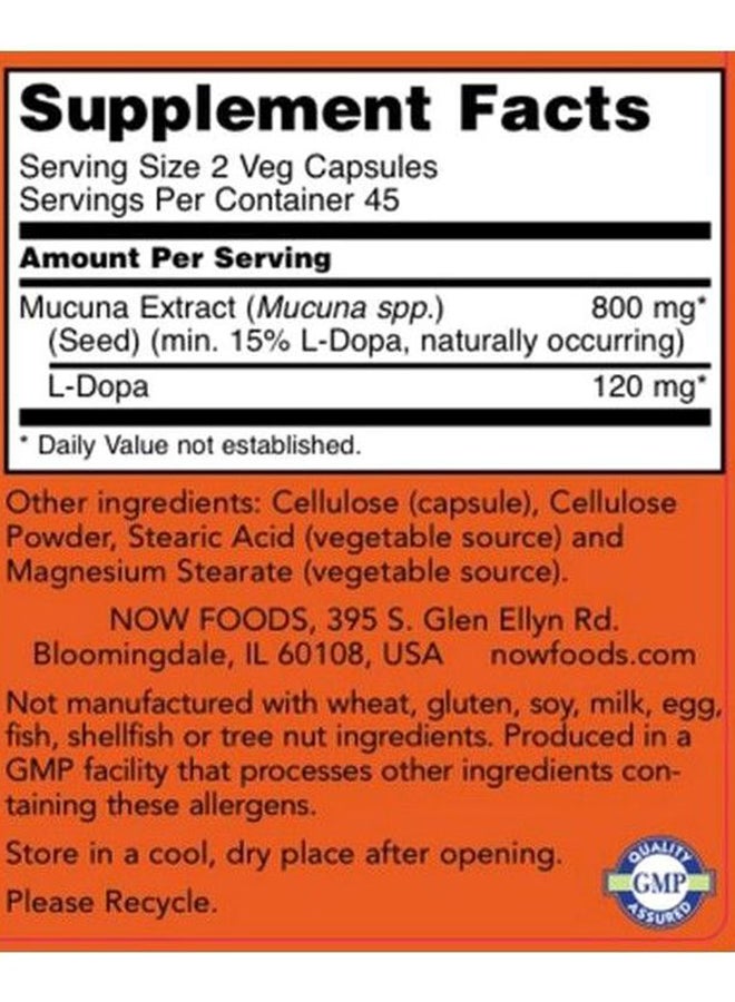 Now Foods Ginkgo Biloba Dietary Supplement - Image 2