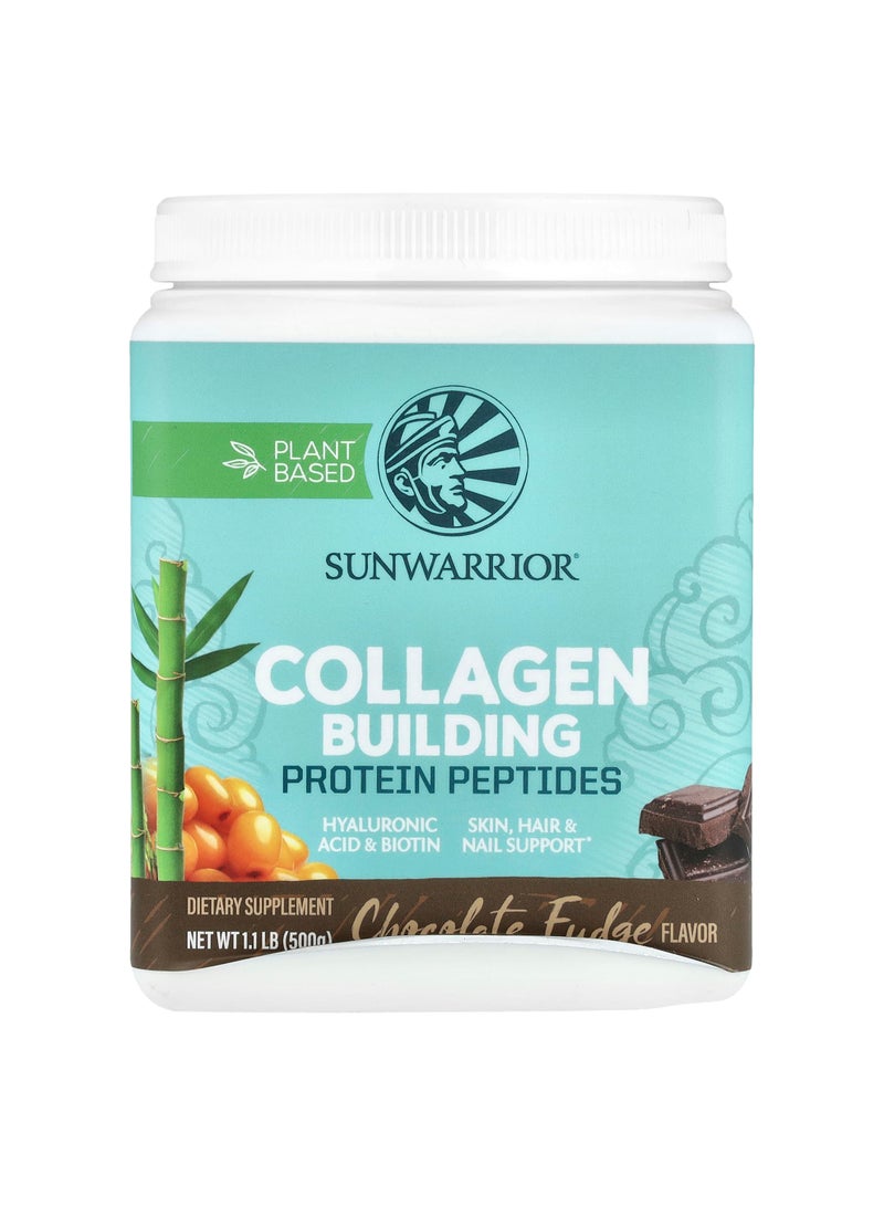 Collagen Building Protein Peptides, Chocolate Fudge, 1.1 lb (500 g)