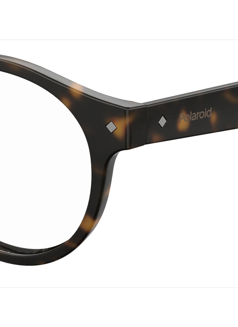 Unisex Oval Reading Glasses - Pld 0021/R Havana 49 - Lens Size: 49 Mm - pzsku/Z88DED9A095403BAFD121Z/45/_/1696841680/94fff503-81a1-4cfc-9041-12a65a2f2aff