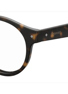 Polaroid Unisex Oval Reading Glasses - Pld 0021/R Havana 49 - Lens Size: 49 Mm  - Image 3