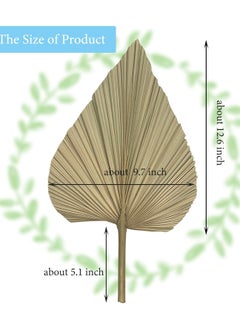 Generic Natural Dried Palm Leaves, 4PCS Large 18" Palm Fans, Perfect for Boho Wedding, Home Decor, Party Arrangements, Kitchen Vase, Farmhouse Table Centerpieces, Anniversary Decorations  - Image 5