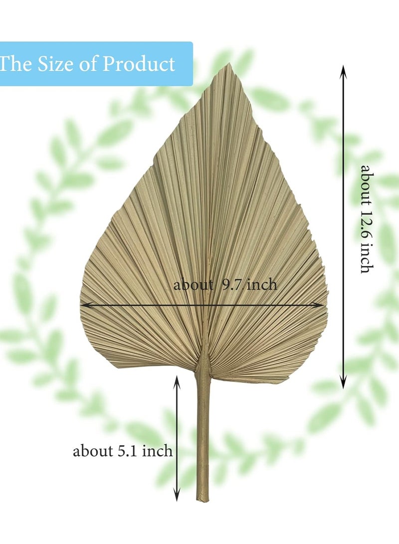 Natural Dried Palm Leaves, 4PCS Large 18" Palm Fans, Perfect for Boho Wedding, Home Decor, Party Arrangements, Kitchen Vase, Farmhouse Table Centerpieces, Anniversary Decorations - Image 5