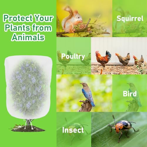 Evoio Bird Netting for Garden Blueberry Bushes Fruit Tree Netting Cover Plant Protection Mesh Bags with Drawstring, 4 Pack 4.6 x 5.9 ft Shrubs Bush Tomato Strawberry Berry Barrier Protectors Net - Image 2