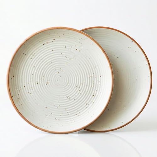 Freakway Cream Ribbed Stoneware Dinner Plates 10.3 Inch Set of 2 Pcs Ceramic Plates for Dinner | Microwave & Dishwasher Safe | Off White - Image 1