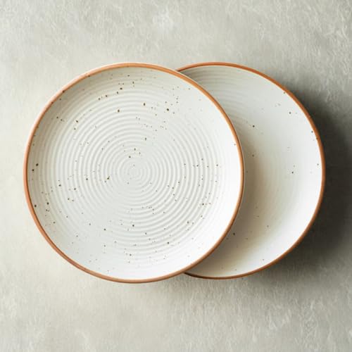 Freakway Cream Ribbed Stoneware Dinner Plates 10.3 Inch Set of 2 Pcs Ceramic Plates for Dinner | Microwave & Dishwasher Safe | Off White - Image 3